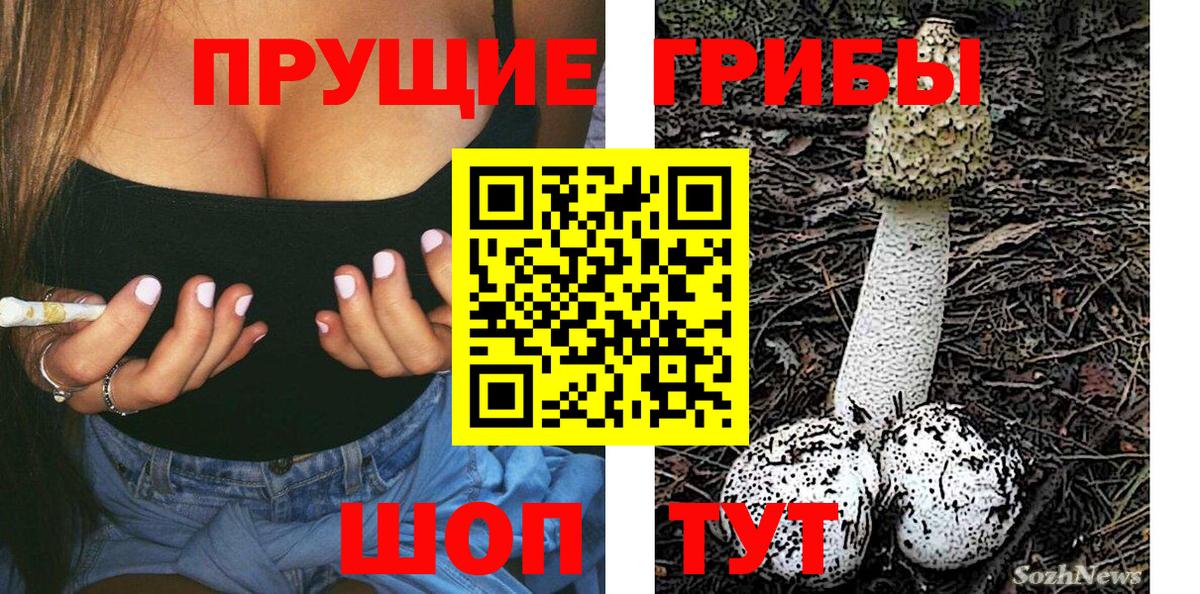 где купить наркоту  Галлюциногенные грибы GOLDEN TEACHER  Псилоцибиновые грибы прущие грибы  Вход с VPN  Оренбург 